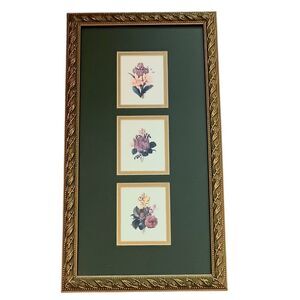 Vintage Flower Trio Prints Matted & Framed Dark Green Background Gold Frame 15"